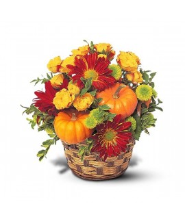 Small Mounded Basket